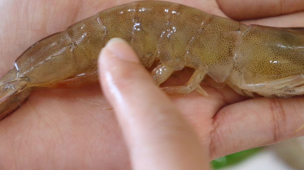 超市卖的冻鲜虾是河虾还是海虾,卖的虾和冻虾怎么区别