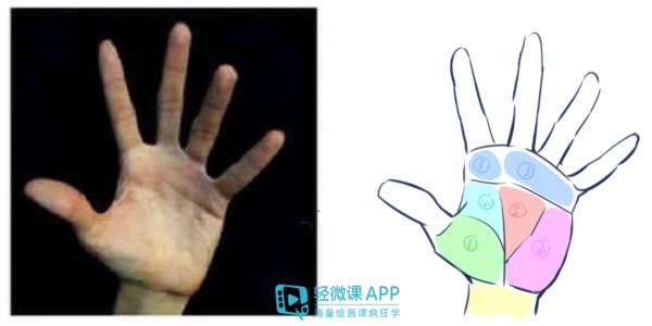 动漫人物的手怎么画初学者,动漫人物的手怎么画教程图片