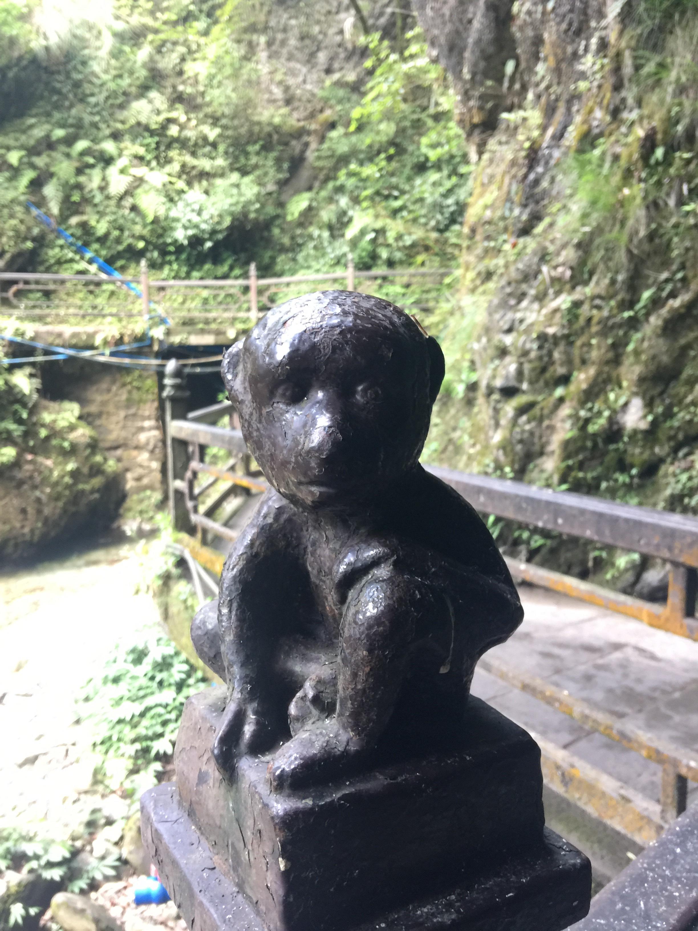 峨眉山登顶佛像,峨眉山登顶记完整版