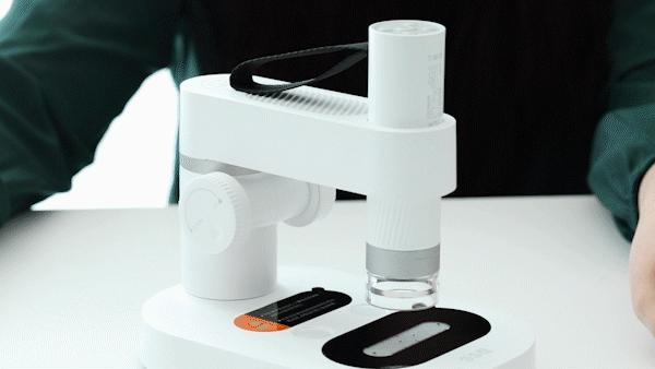 暑假孩子玩手机不如打篮球吧,儿童显微镜放大蚂蚁120倍