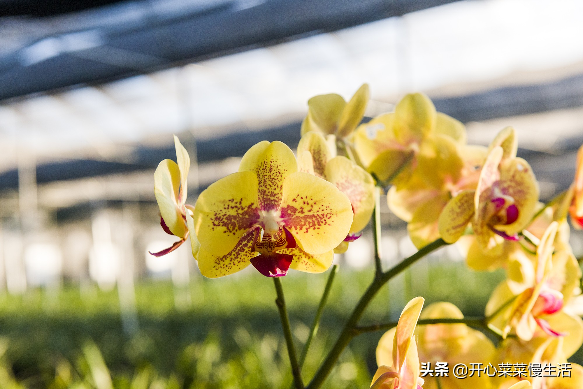 江西省赣州全南,江西省赣州市全南县