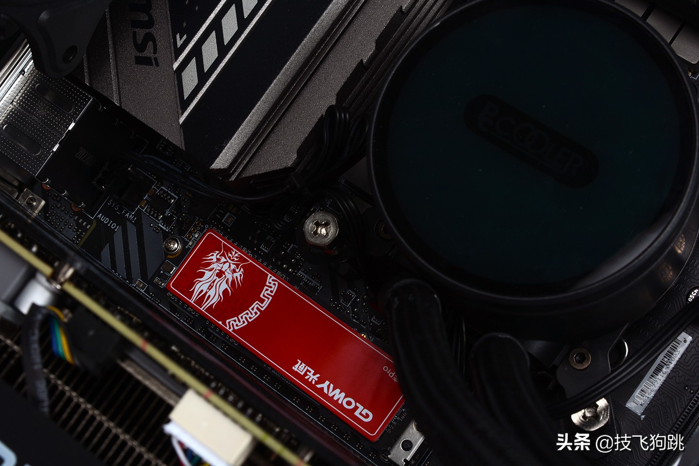 徒有其表和华而不实,徒有其表和华而不实的区别