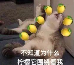 你们天天喊吃瓜吃瓜，那吃的这个瓜为什么是西瓜啊？