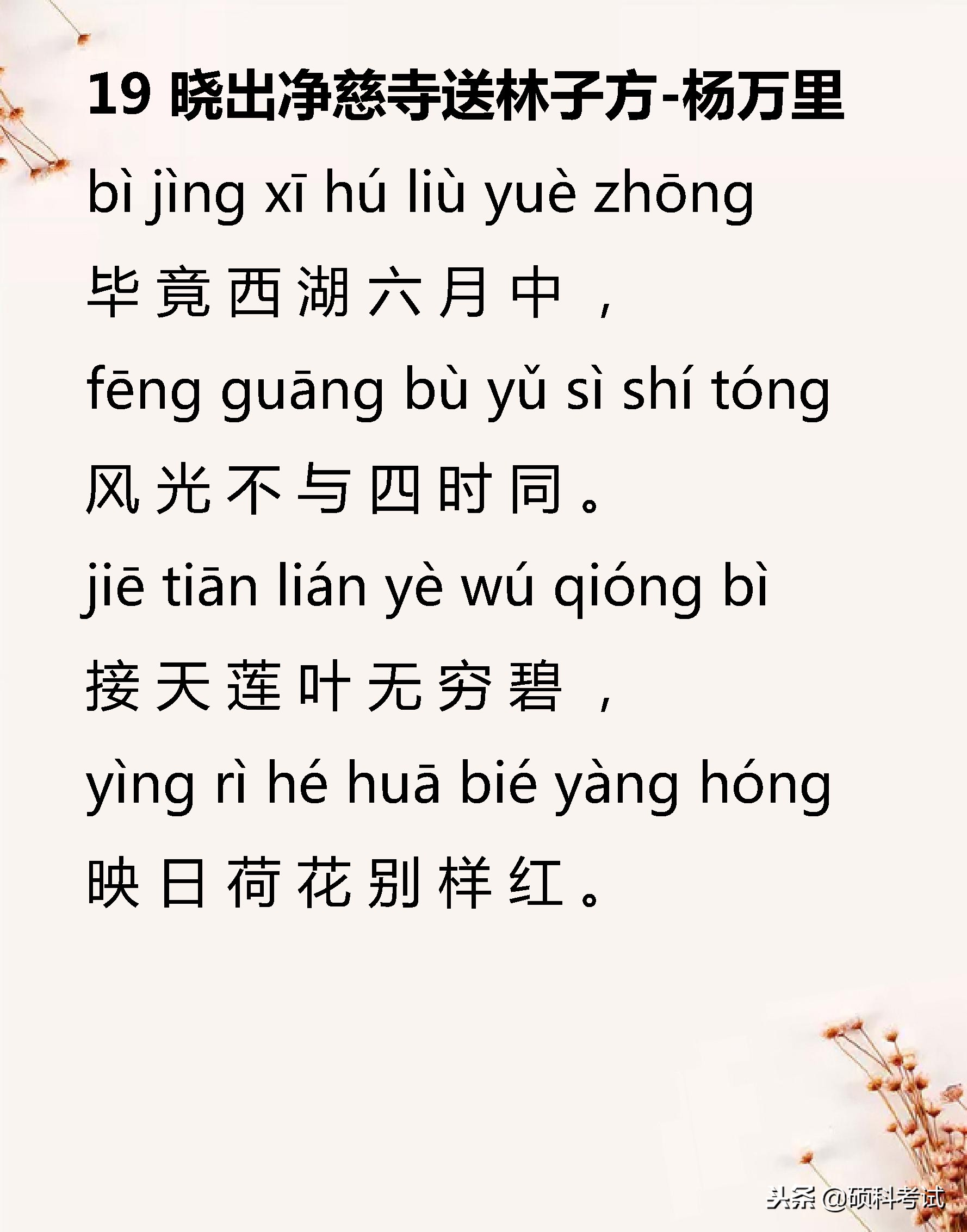 小学语文必背古诗词129,小学语文必背古诗词75首加赏析