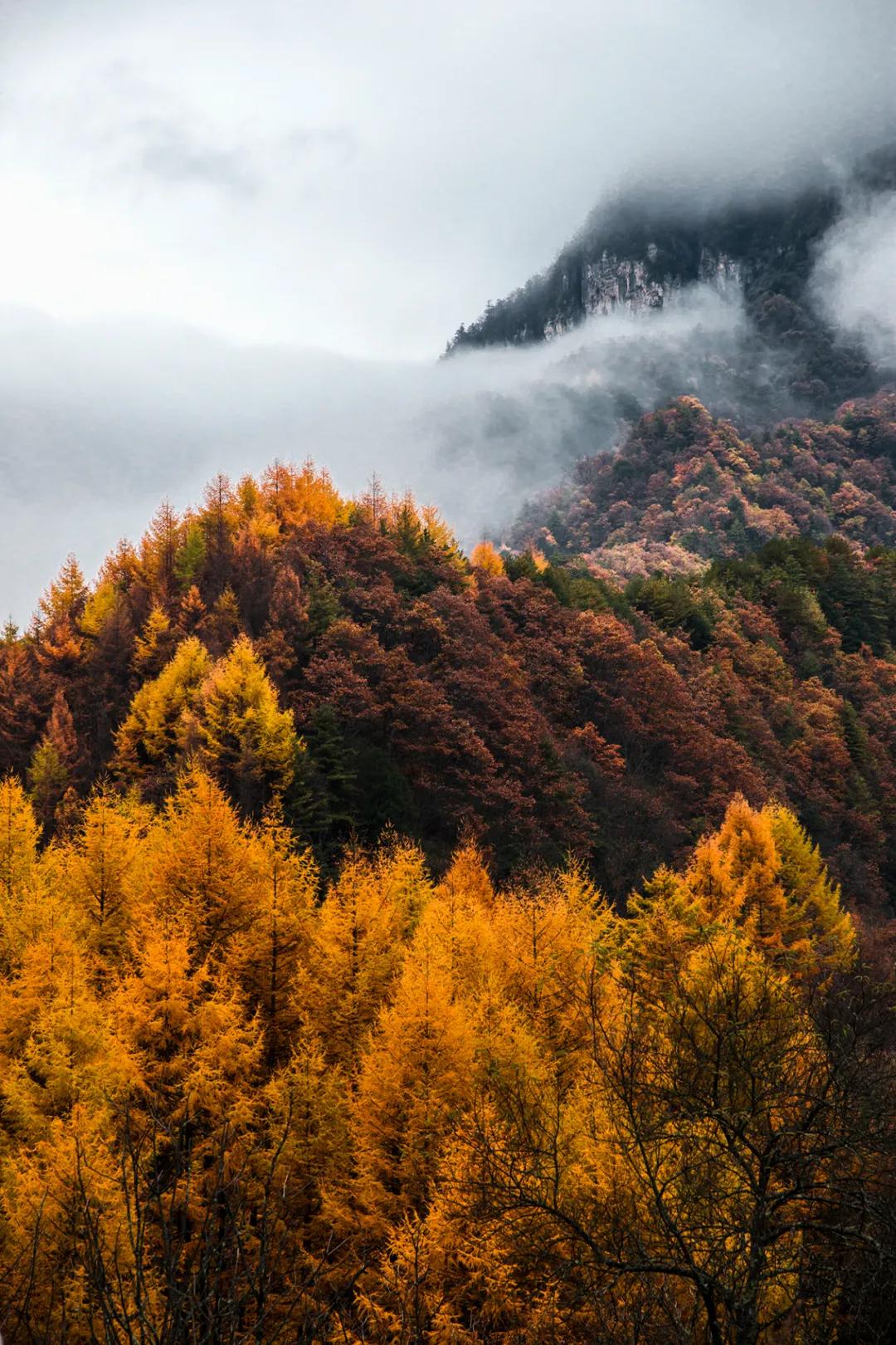 9月国内最美的10个最佳旅行地推荐,金秋十月寻找最美旅行地