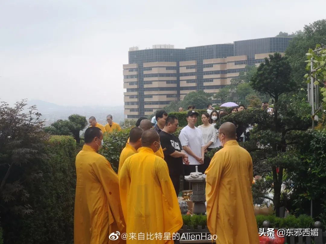 500字作文我真聪明,五篇小作文