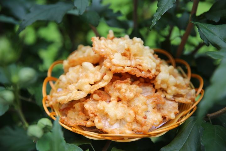 春天的野菜真好吃,时令野菜味道好极了