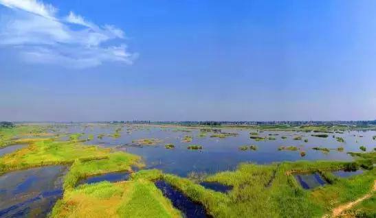 大荔美吗,大荔县的美