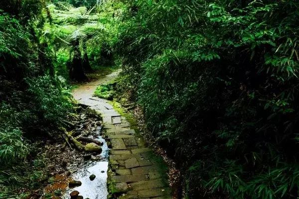 石象湖优惠,石象湖门票免费领取