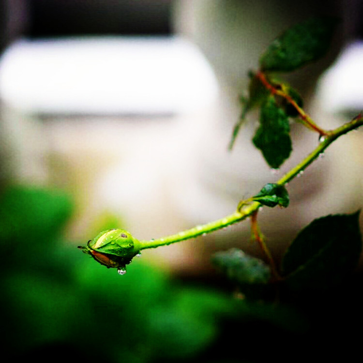 读书品茶香听雨悟人生,闲时看看书品茶是人生最大的享受