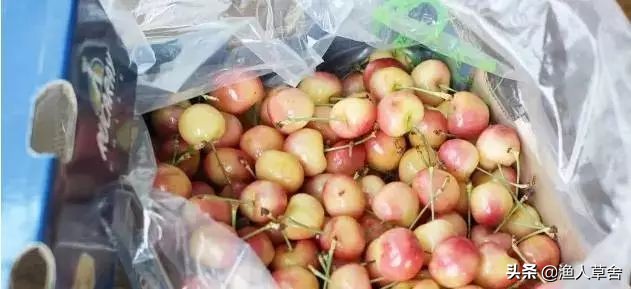 各国cherry车厘子品种，与我国大樱桃有哪些不同