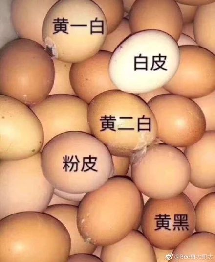 人生第一款大牌粉底液怎么选,初学者粉底液怎么选