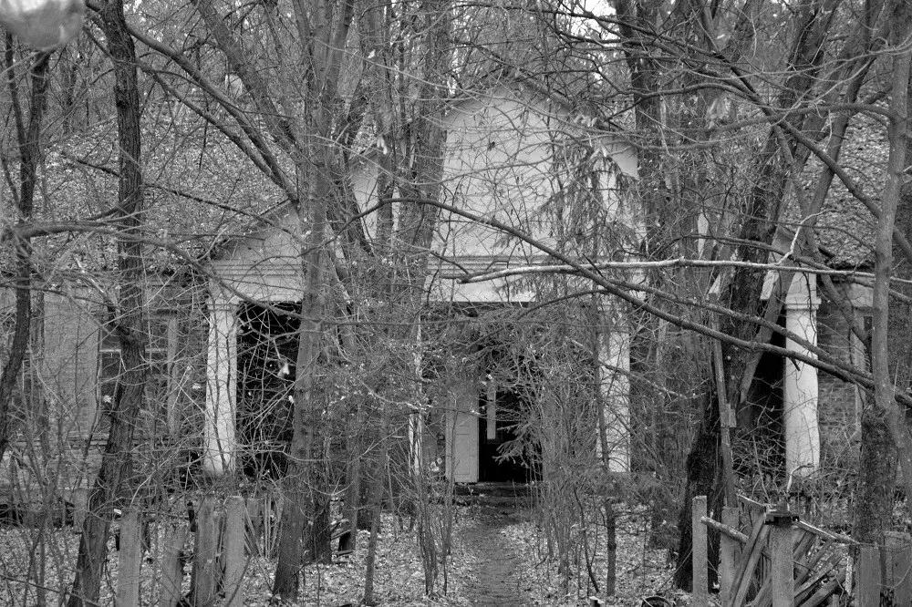 切尔诺贝利实拍的奇怪动物,探险切尔诺贝利发现变异巨鼠事件