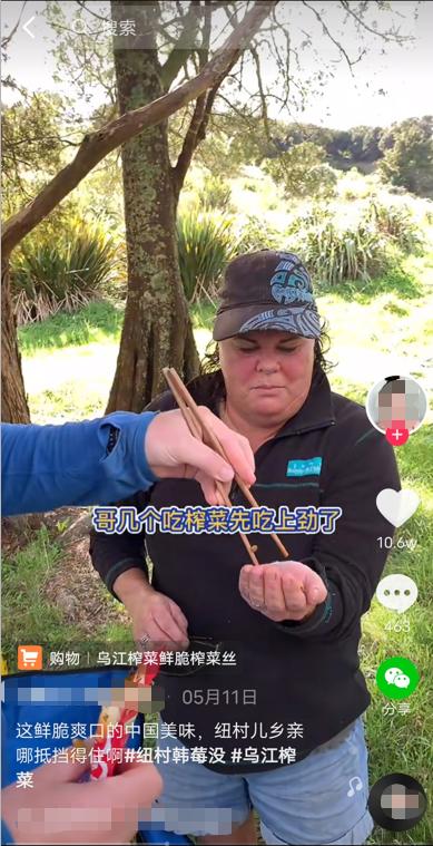 包子饺子馄饨韭菜盒子蒙语,韭菜包子英语怎么说