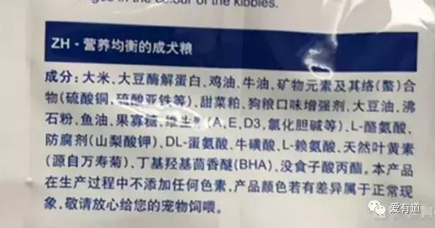 毛孩子偷吃东西被发现,毛孩子吃东西被发现了