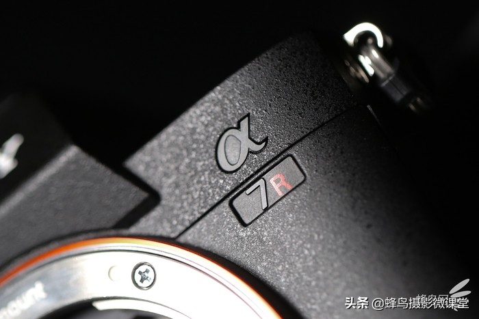 今年会出哪些全画幅微单,最强微单全画幅是r5吗