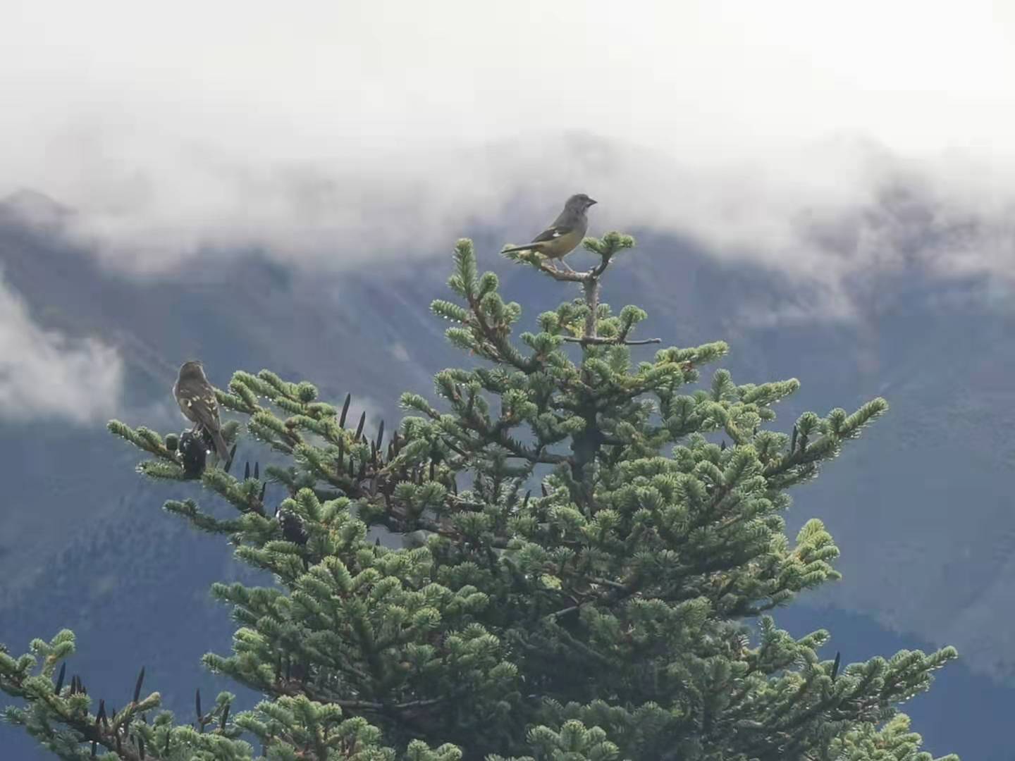 原来西藏的美景在藏西,去一趟西藏吧