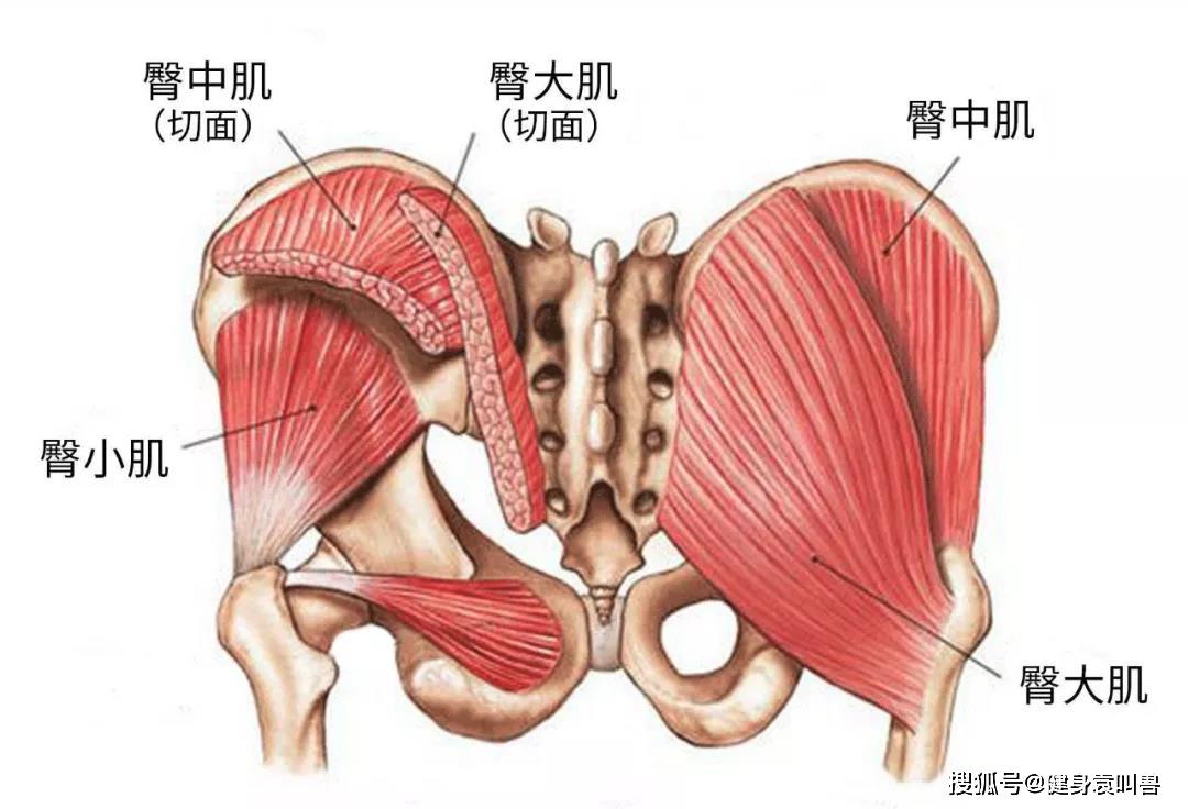 腰腿痛的问诊方法,腰腿疼诊断
