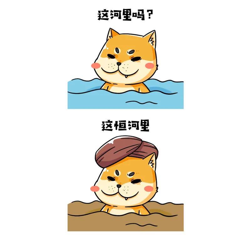 十二生肖谜面揭秘,十二生肖还有哪些关于数学的问题