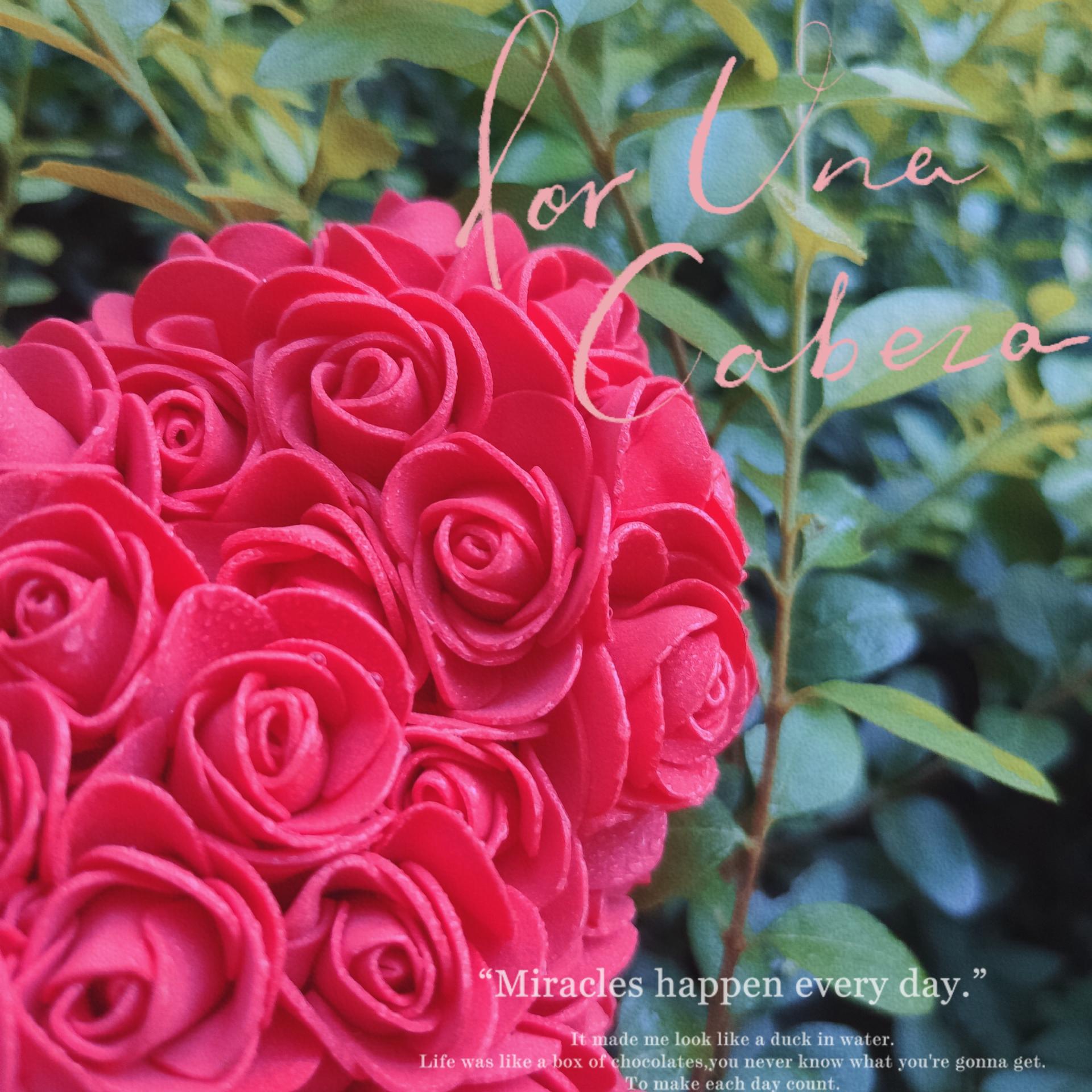 鍞繂鑺辫壓,涓冨鑺辫壓绀肩墿閫佷粈涔堝ソ