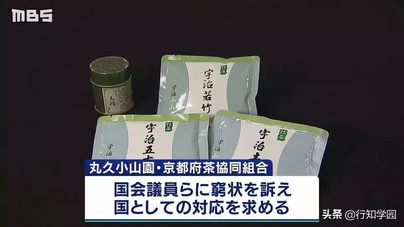 宇治抹茶进口和国产有什么区别 (国产的宇治抹茶)