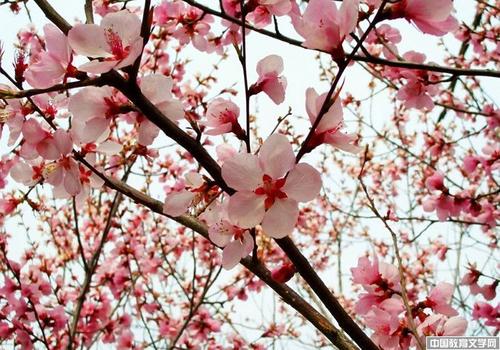 一生必背的100句千古名句,一生必背的180句经典古诗词