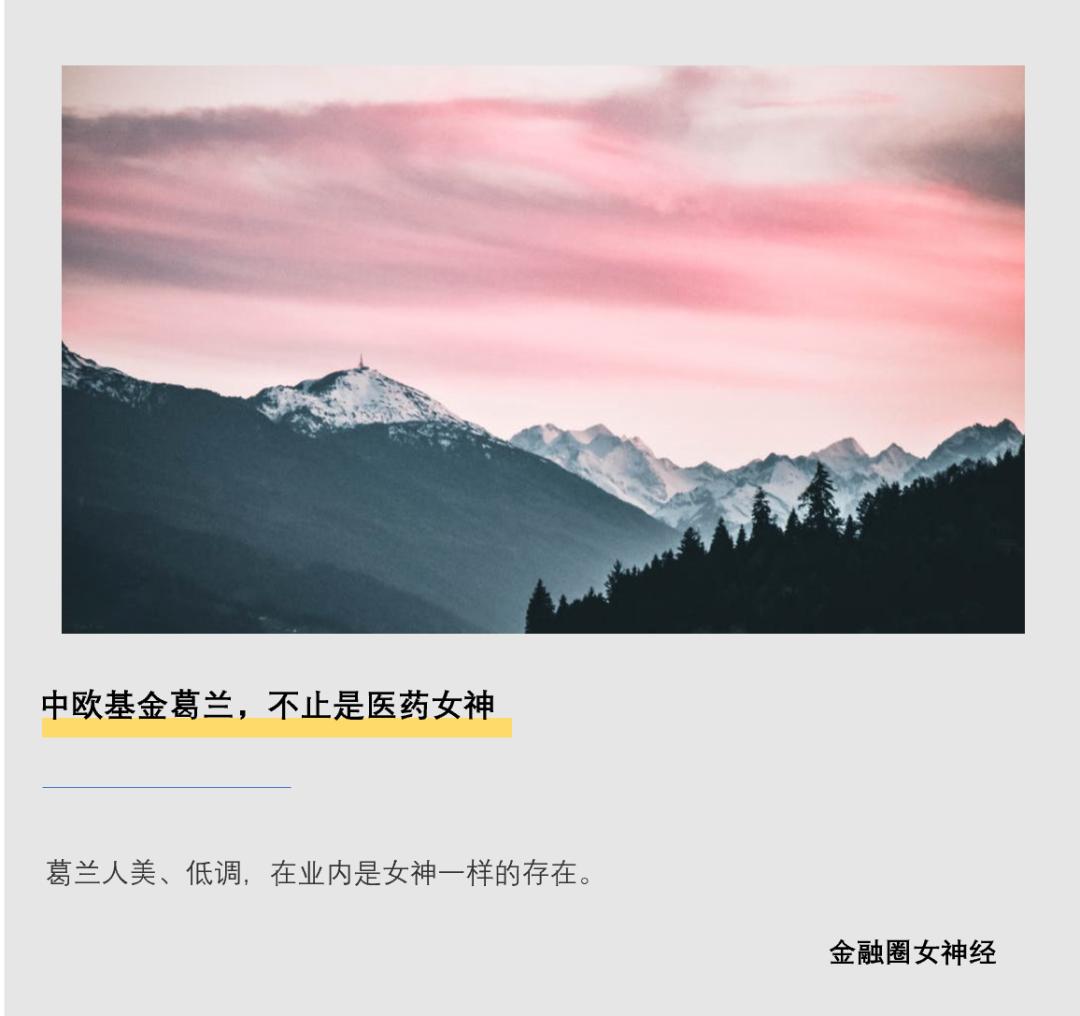 不到四年回报229.38%，中欧基金葛兰的“学神”剧本