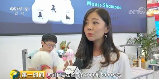 给宠物整个造型，要花5000块钱？小宠物大市场：宠物行业总市值首次破2000亿