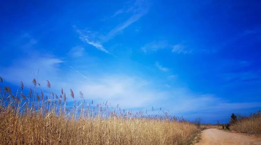 明天会更好英文完整版,明天会更好英文版字幕