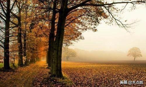 世态炎凉人心难测的经典句子,世态炎凉最冷不过人心的句子