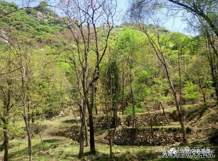 谨以此纪念我的老父亲,谨以此文悼念父亲