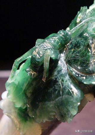 乾隆和白菜,乾隆白菜和太后白菜区别