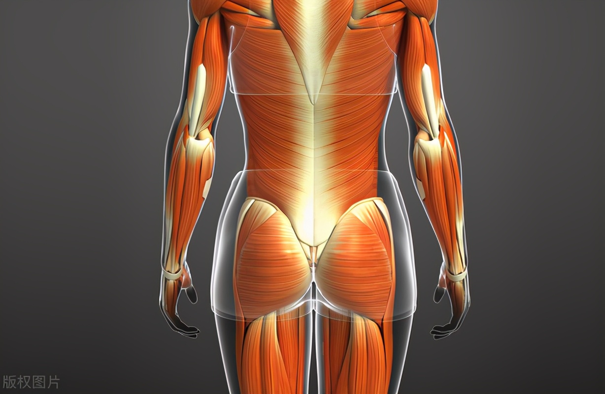 肾俞穴配什么穴治脾胃,肾俞穴的主治病症有什么