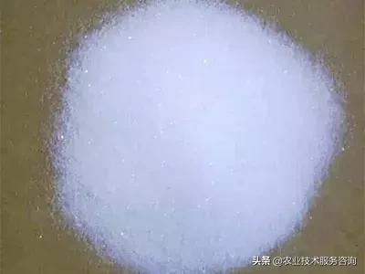 一次性说清楚功效,一次性说清嫡系