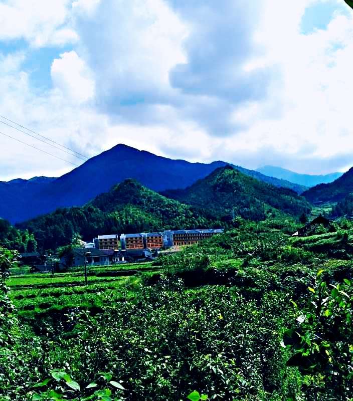 华容县景点排名,华容风景排名