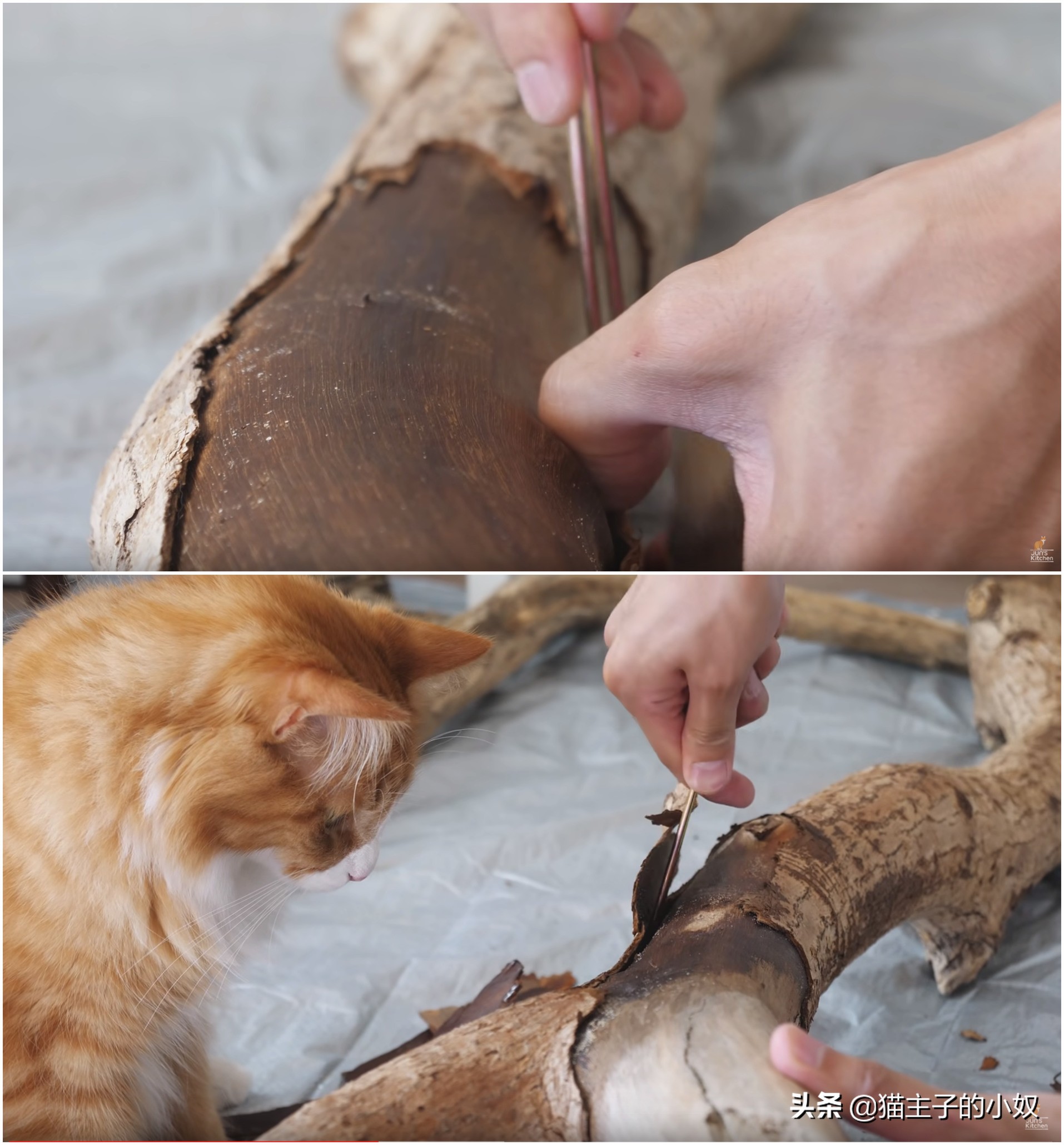 diy猫爬架大约需要什么材料,diy猫爬架材料清单