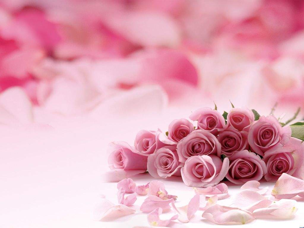 七夕情人节的七首诗,七夕的诗句朗诵