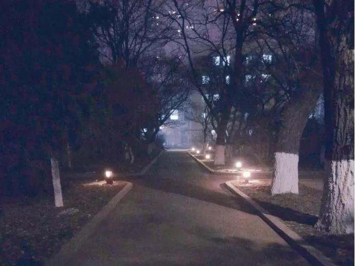 辽宁大学和鲁迅美术学院,辽宁省鲁迅美术学院是985吗