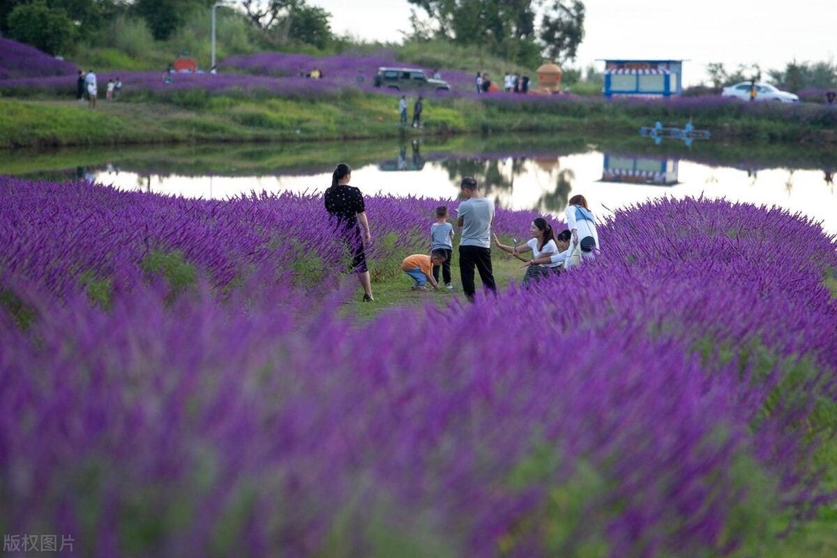 云南的景点真的那么好看吗,云南超美的地方
