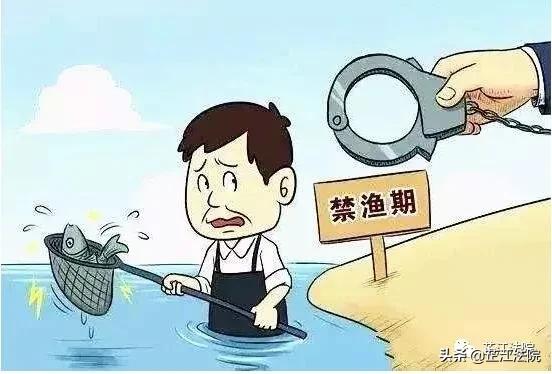 重庆禁渔期电鱼处罚,四川禁渔期电鱼有什么处罚