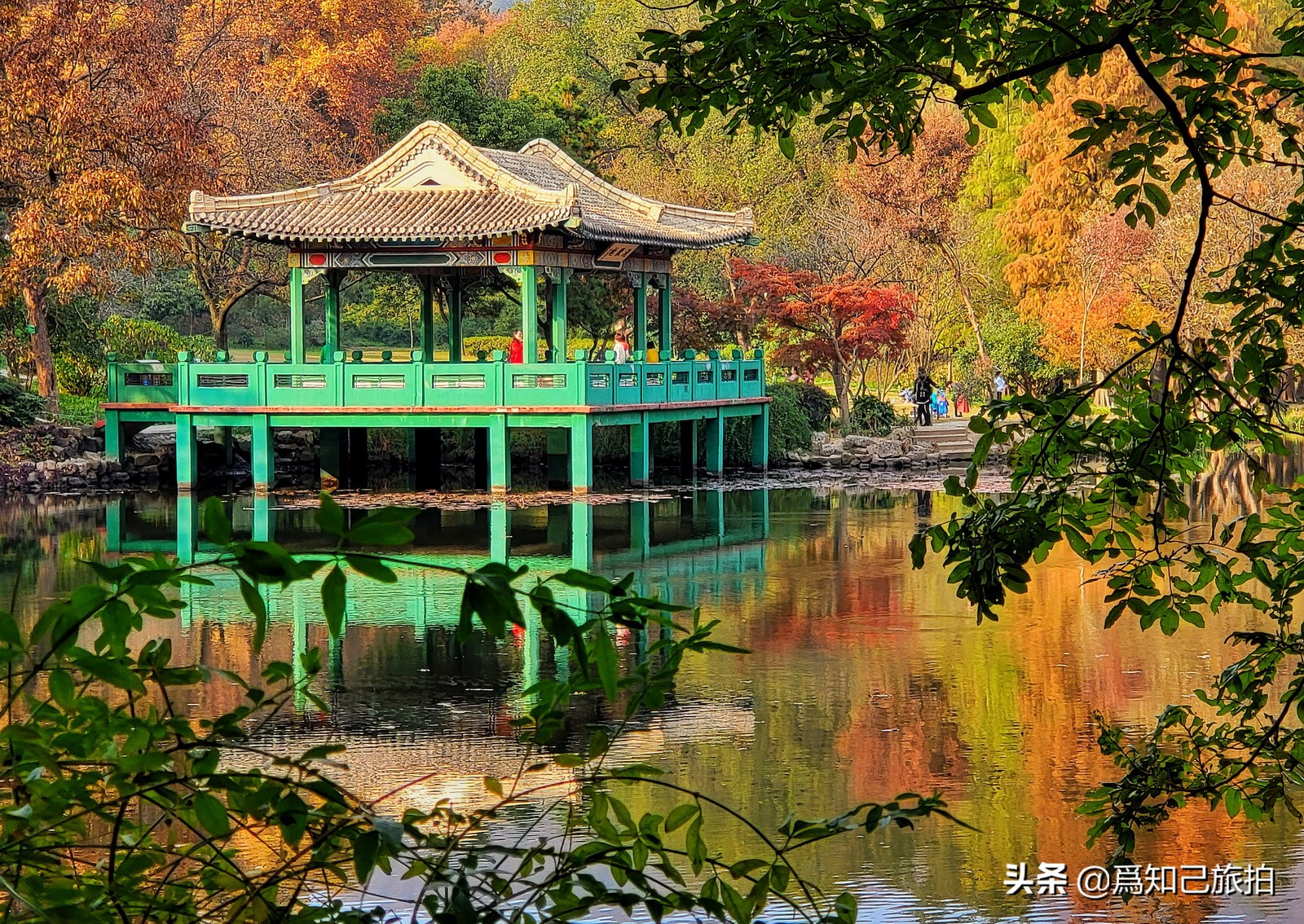 美在金陵文艺大咖秀,美在金陵梁梅