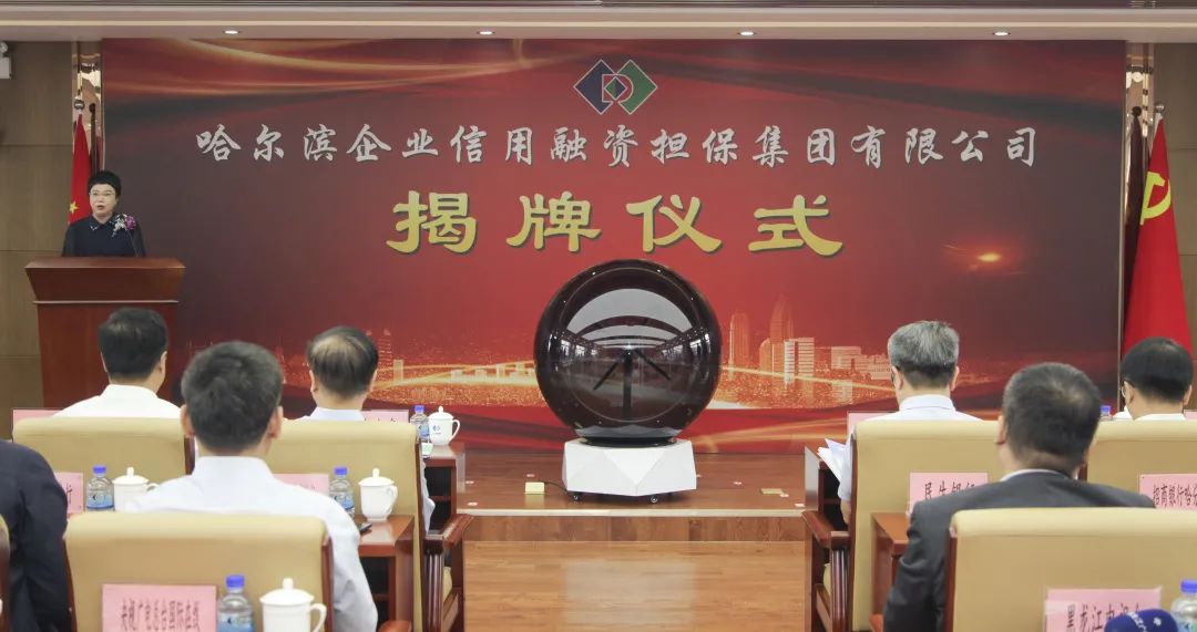 哈尔滨融资担保集团,哈尔滨企业信用融资担保集团成立