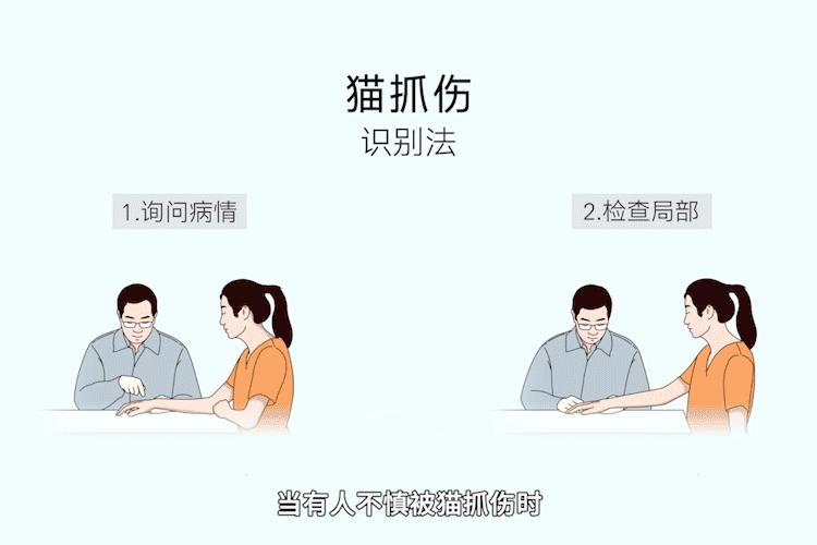 被家养猫抓伤有必要打疫苗吗,猫抓伤怎么处理最快最好