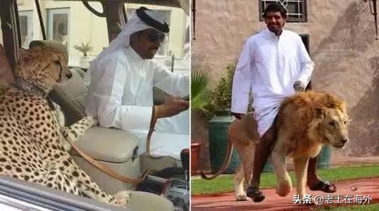 沙特足球和中国对比,沙特土豪足球震惊世界