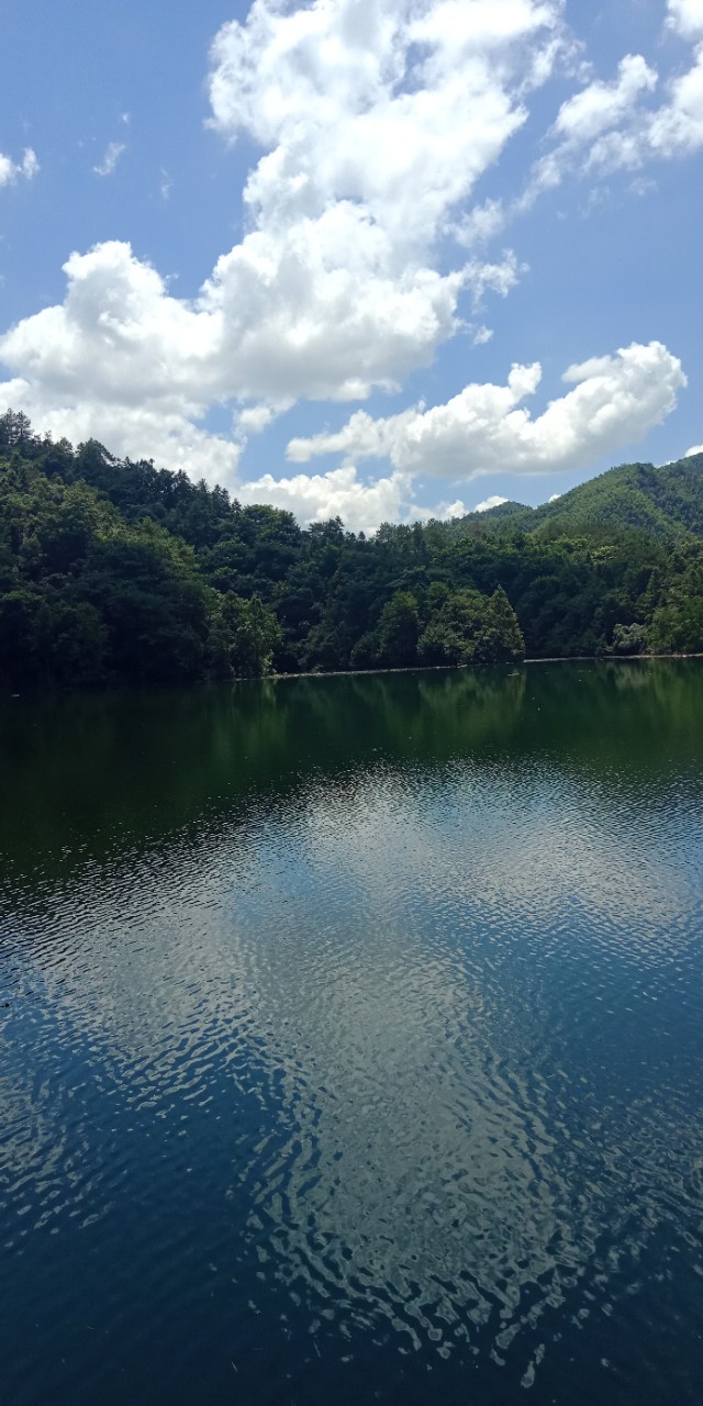 九州文学南京诗社作品,九州文学社作品