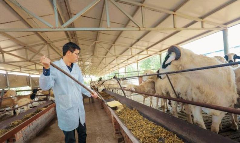 放弃70万的年薪回农村,放弃80万年薪回农村