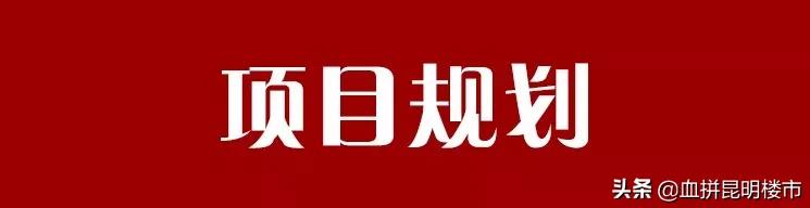 南市区教育大盘,实探学区