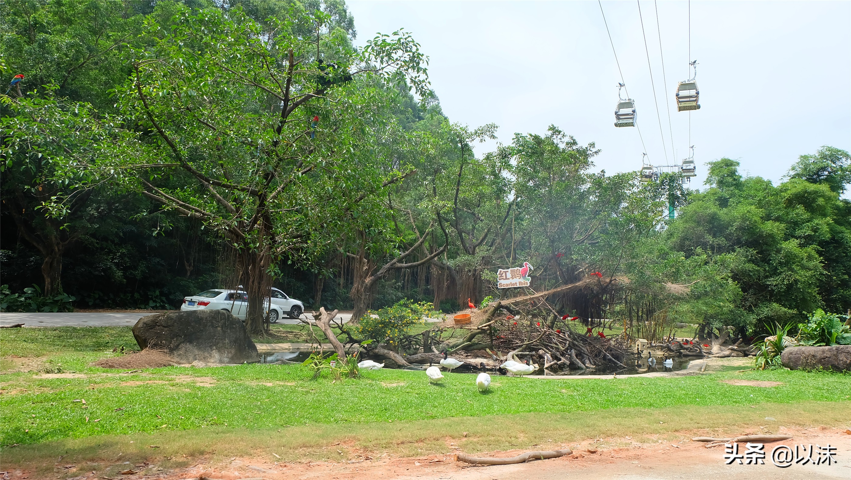 长隆野生动物世界游玩攻略,长隆野生动物世界带娃攻略