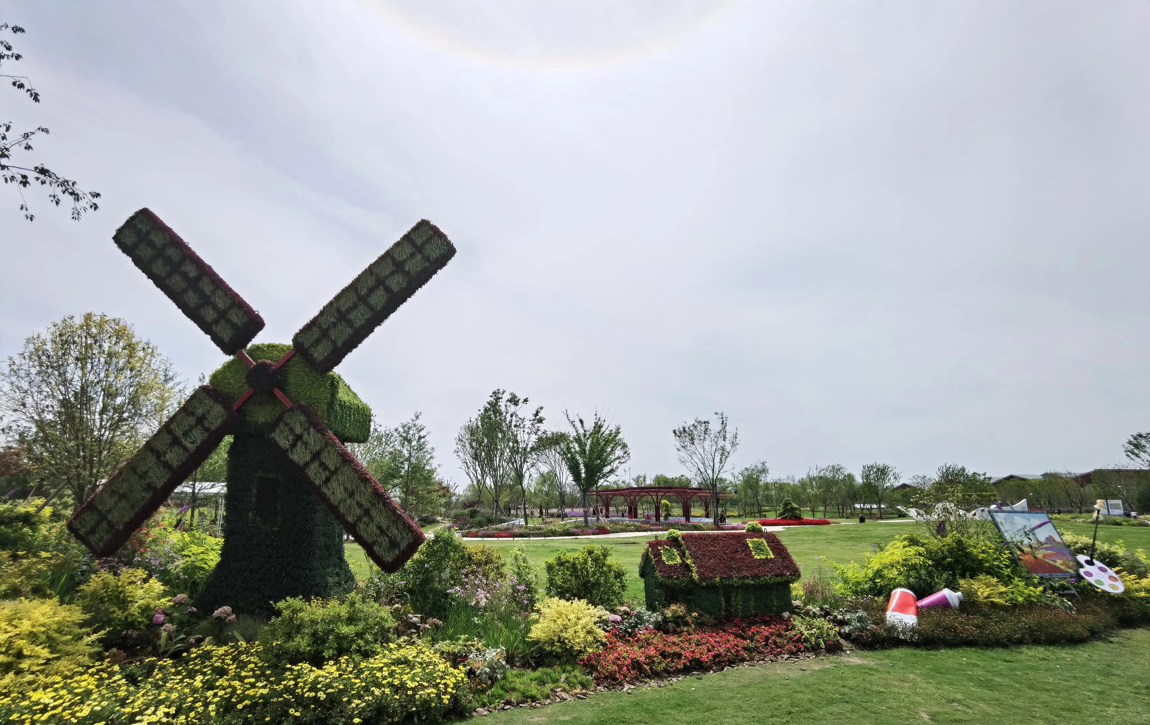 关于崇明花博会,崇明花博会全程花景