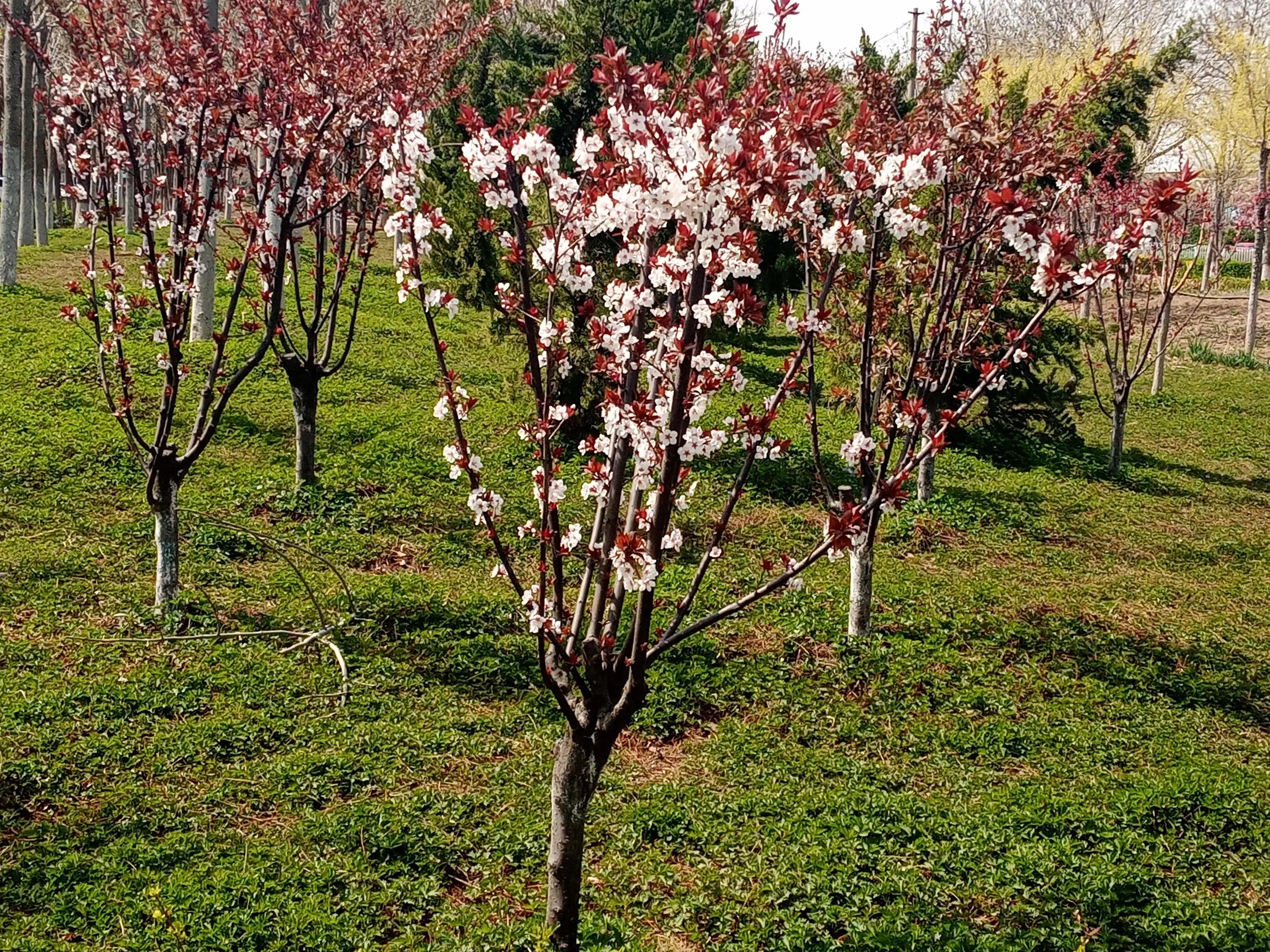 天津生活住一年的真实体会,选择定居天津的理由